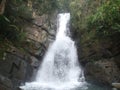 Yunque Waterfall Royalty Free Stock Photo