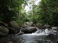Yunque Waterfall Royalty Free Stock Photo