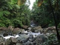 Yunque Waterfall Royalty Free Stock Photo