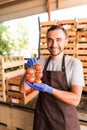 Yuong man farmer agronom show cherry tomatoes in ripe from boxes in greenhouse. Royalty Free Stock Photo