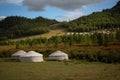 Yurt camp surrounded by trees on the ridge of the mountain. Small ger huts on the crest of the hill on a sunny day