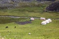 Yurt camp in Terskey Alatau mountain range in Kyrgyzst Royalty Free Stock Photo