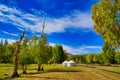 Yurt. A nomad\'s tent. Dwelling inhabited in action life. Pitching on the grass