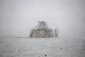 Yurt under the snow in the middle of a snow-covered field. travel Kyrgyzstan Royalty Free Stock Photo