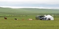 Yurts on the grassland of Inner Mongolia, China