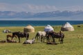 Yurts and horses near Song Kul lake, Kyrgyzst