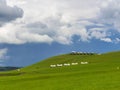 Yurts in a wide mountain grassland under blue cloudy sky in inner Mongolia, China