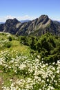 Yushan national park Royalty Free Stock Photo