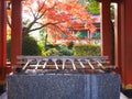 Yutoku Inari Shrine