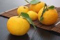 Yuzu aromatic citron Royalty Free Stock Photo