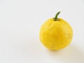 Japanese yuzu fruits placed on a white background Royalty Free Stock Photo