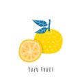 Yuzu fruit flat vector illustration