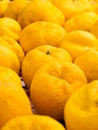 Yuzu fruits on a table