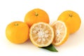 Yuzu fruits on the white background Royalty Free Stock Photo