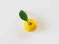 Yuzu placed on a white background Royalty Free Stock Photo