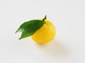 Yuzu placed on a white background Royalty Free Stock Photo