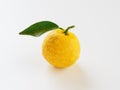 Yuzu placed on a white background Royalty Free Stock Photo