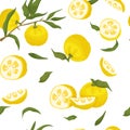 Yuzu seamless pattern. Citrus junos fabric design.