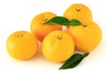 Yuzu on the white background Royalty Free Stock Photo