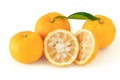 Yuzu on the white background Royalty Free Stock Photo