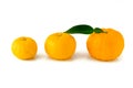 Yuzu on the white background Royalty Free Stock Photo