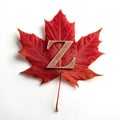 Z alphabet maple leaf isolated on white background Royalty Free Stock Photo