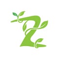 Z letter ecology nature element vector icon logo design