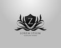 Z Letter Logo. Inital Z Majestic Shield design