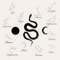 Modern abstract art print with snake and stars, Moon, constellations name. Boho style. Cosmic minimalistic scene. Isolated element Royalty Free Stock Photo