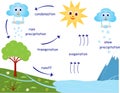 Cartoons water cycle vector illustration Royalty Free Stock Photo