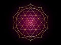 Mystical mandala of Sri Yantra for your design. Golden sacred geometry and alchemy symbol blooming in a gold lotus flower, vector Royalty Free Stock Photo