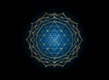 Mystical mandala of Sri Yantra for your design. Golden sacred geometry and alchemy symbol blooming in a gold lotus flower, vector Royalty Free Stock Photo