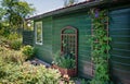 Garden shed decorated with a purple clematis