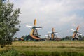 Old dutch windmills in historical village. Holland mills in field panoramic view. Rural holland landscape.