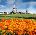 Zaanse Schans Royalty Free Stock Photo