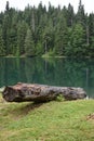 Zabojsko lake Montenegro Royalty Free Stock Photo