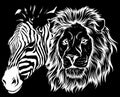 zebra and lion head vector illustration design