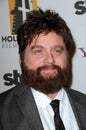 Zach Galifianakis Royalty Free Stock Photo