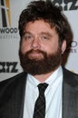 Zach Galifianakis Royalty Free Stock Photo