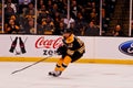 Zach Hamill Boston Bruins Royalty Free Stock Photo