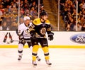 Zack Hamill Boston Bruins Royalty Free Stock Photo