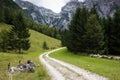 Zadnija Valley, Julian Alps, Slovenia Royalty Free Stock Photo