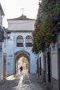 Intramural view of the arch of Jerez de Zafra, located in the beautiful Jerez street. It Royalty Free Stock Photo