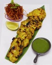 Zafrani chicken tikka, saffron and yoghurt marinated spiced tandoori tender chicken cubes cooked in clay oven, indian cuisine