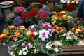 Zagreb Flower Market Royalty Free Stock Photo