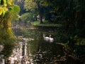 Zagreb, Maksimir, beautiful, town,recently,Beautiful, view ,white swans, love