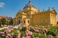 Zagreb Opera House with pink hydrangea plants in foreground