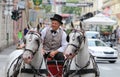 Zagreb Tourist Attraction / Old Carriage Cabman