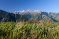 The Zailiyskiy Alatau Mountains in Almaty, Tien Shan mountain system in Kazakhstan. Two Brothers in the background. Big Almaty