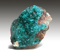 A fine sample of dioptase - green crystals, very reminiscent of emeralds.